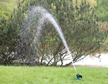 Japonya Bahçe yağmurlama