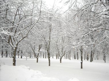 sonra kar yağışı