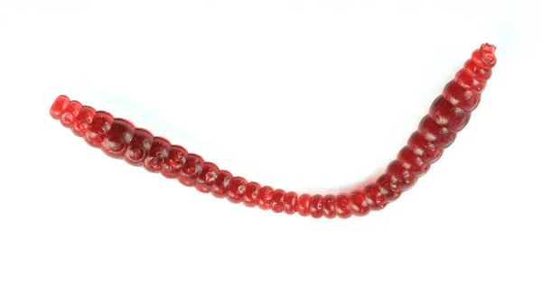 Brinquedo Earthworm plástico macio — Fotografia de Stock