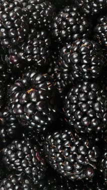 bir sürü BlackBerry