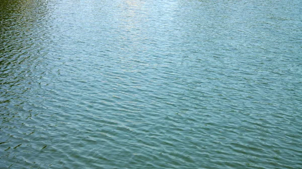 Ripple on water in city park pond — Stock Photo, Image