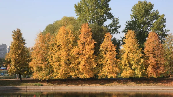 สวนสาธารณะในฤดูใบไม้ร่วงทอง — ภาพถ่ายสต็อก