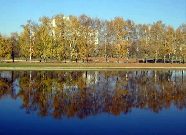 Park ve zlatém podzimu — Stock fotografie