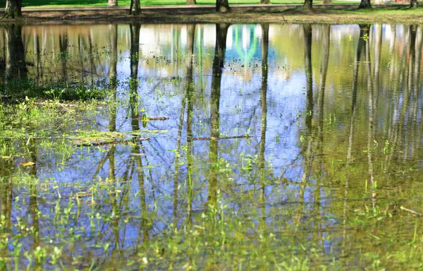 Petite flaque d'eau dans le parc municipal — Photo