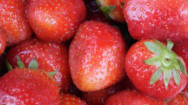Mnoho syrových červených jahod — Stock fotografie