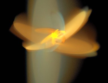 Siyah Renk Üzerine Bir Dijital Fraktal Resmi