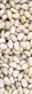 Bir sürü sedir fıstığı.