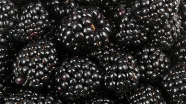 bir sürü BlackBerry