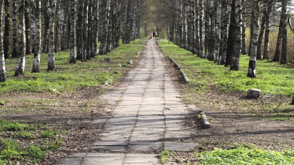 Весна в міському парку — стокове фото