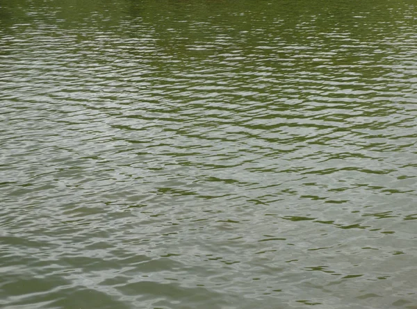 Wellen auf dem Wasser — Stockfoto