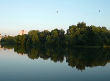 Şehir parkında yaz