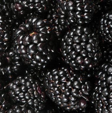 bir sürü BlackBerry
