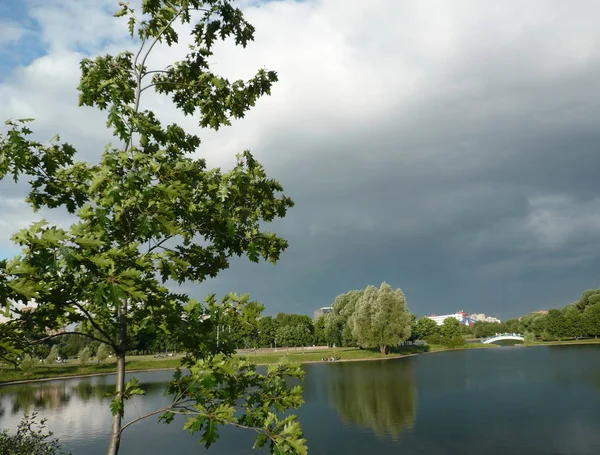 Verano en parque de la ciudad — Foto de Stock