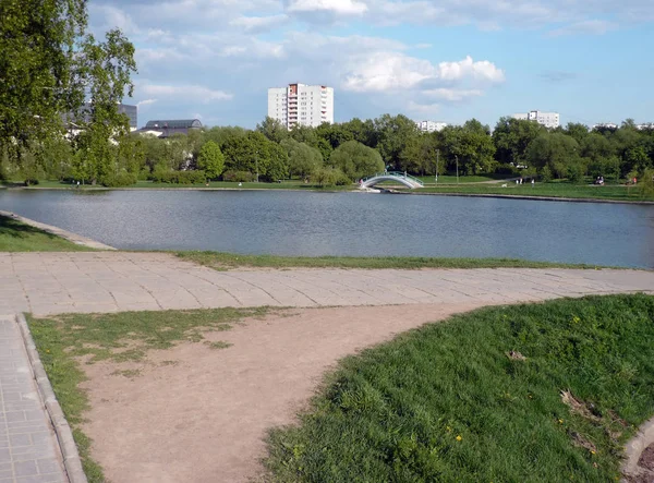 Lato w parku miejskim w dzień — Zdjęcie stockowe