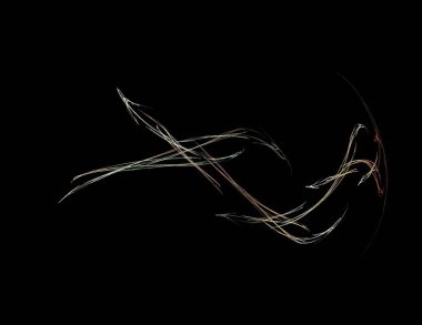 Siyah Renk Üzerine Bir Dijital Fraktal Resmi