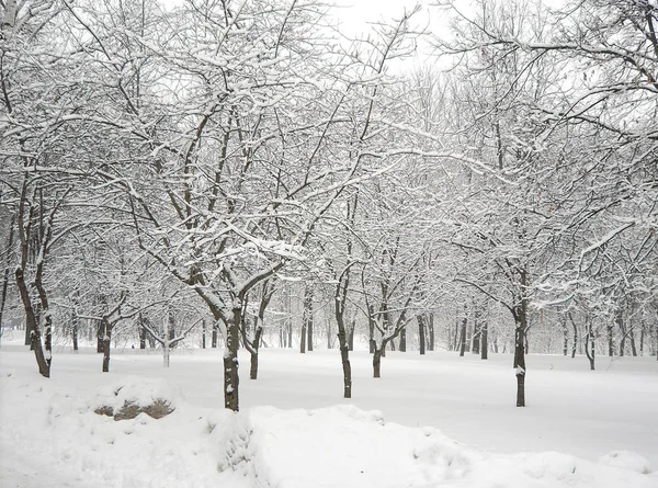 Efter snöfall — Stockfoto