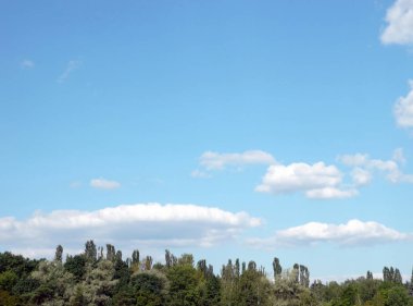 gökyüzü ve gün ağaca