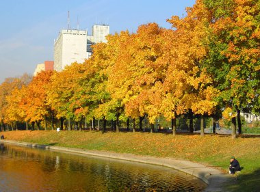 Şehir parkında sonbahar