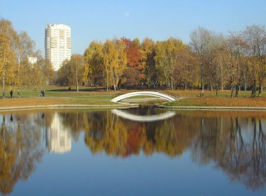 Sonbaharda altın park