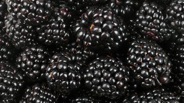 bir sürü BlackBerry