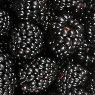 bir sürü BlackBerry