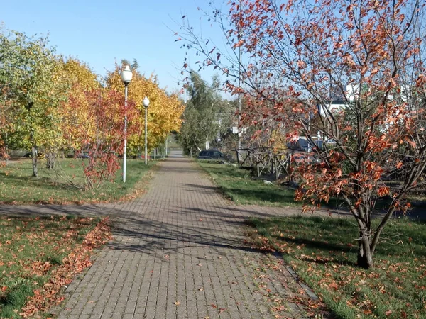 Autunno in parco di città a giorno soleggiato secco — Foto Stock