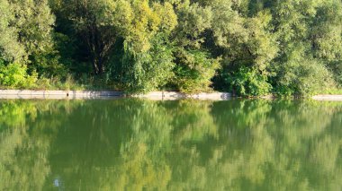 Kuru gün Park'ta yaz