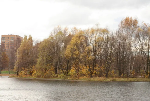 Autumn in city park — Stock Photo, Image