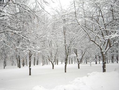 sonra kar yağışı