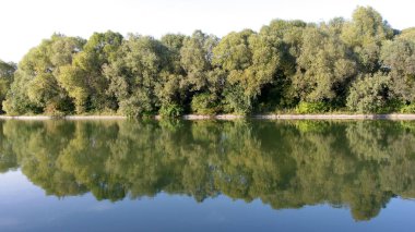 Kuru gün Park'ta yaz