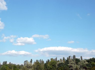 gökyüzü ve gün ağaca