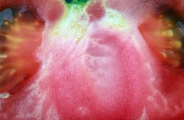 bir kırmızı domates