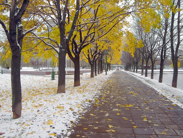 Early melting snow — Stock Photo, Image