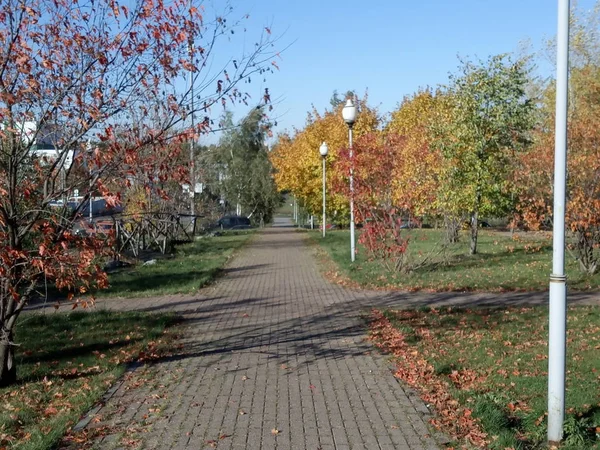 Осень в городском парке в сухой солнечный день — стоковое фото