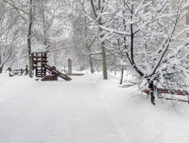 Şehir parkında kar yağdıktan sonra gündüz