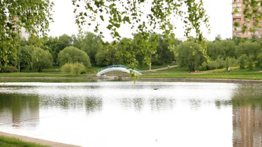 Kuru gün Park'ta yaz