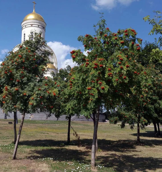 Kirche und Erdbeere bei trockenem Wetter — Stockfoto