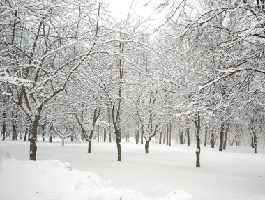 sonra kar yağışı