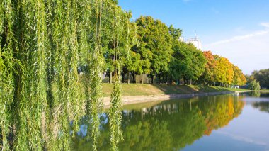 Kuru gün sonbahar Parkı