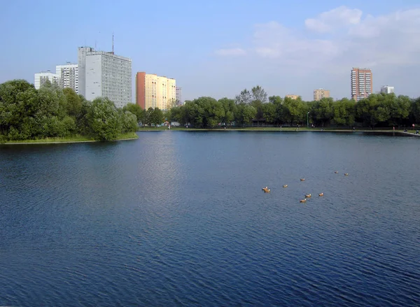 Sommar i stadsparken — Stockfoto