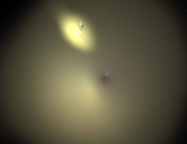 Siyah Renk Üzerine Bir Dijital Fraktal Resmi