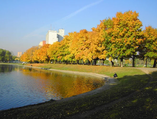 秋天在城市公园 — 图库照片