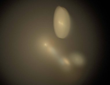 Siyah Renk Üzerine Bir Dijital Fraktal Resmi