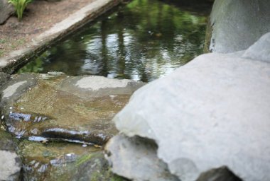 Japonya 'nın gündüz bahçesi
