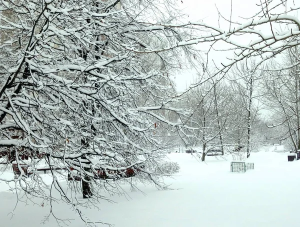 Stadspark efter snöfall på dagen — Stockfoto