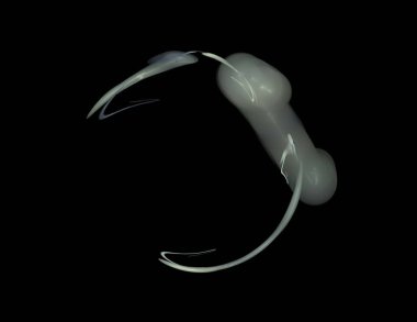 Siyah Renk Üzerine Bir Dijital Fraktal Resmi