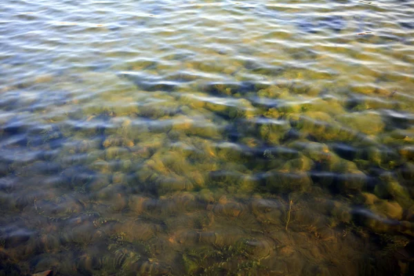 Ripple on water — Stock Photo, Image