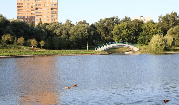 Літо в міському парку — стокове фото