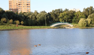 Şehir parkında yaz