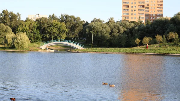 Літо в міському парку — стокове фото